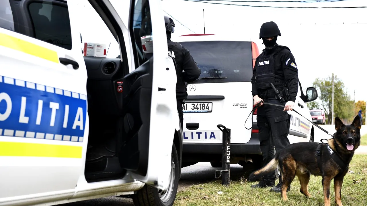 O fetiță de 3 ani, găsită decedată pe un câmp: Copilul fusese mușcat de animalele sălbatice