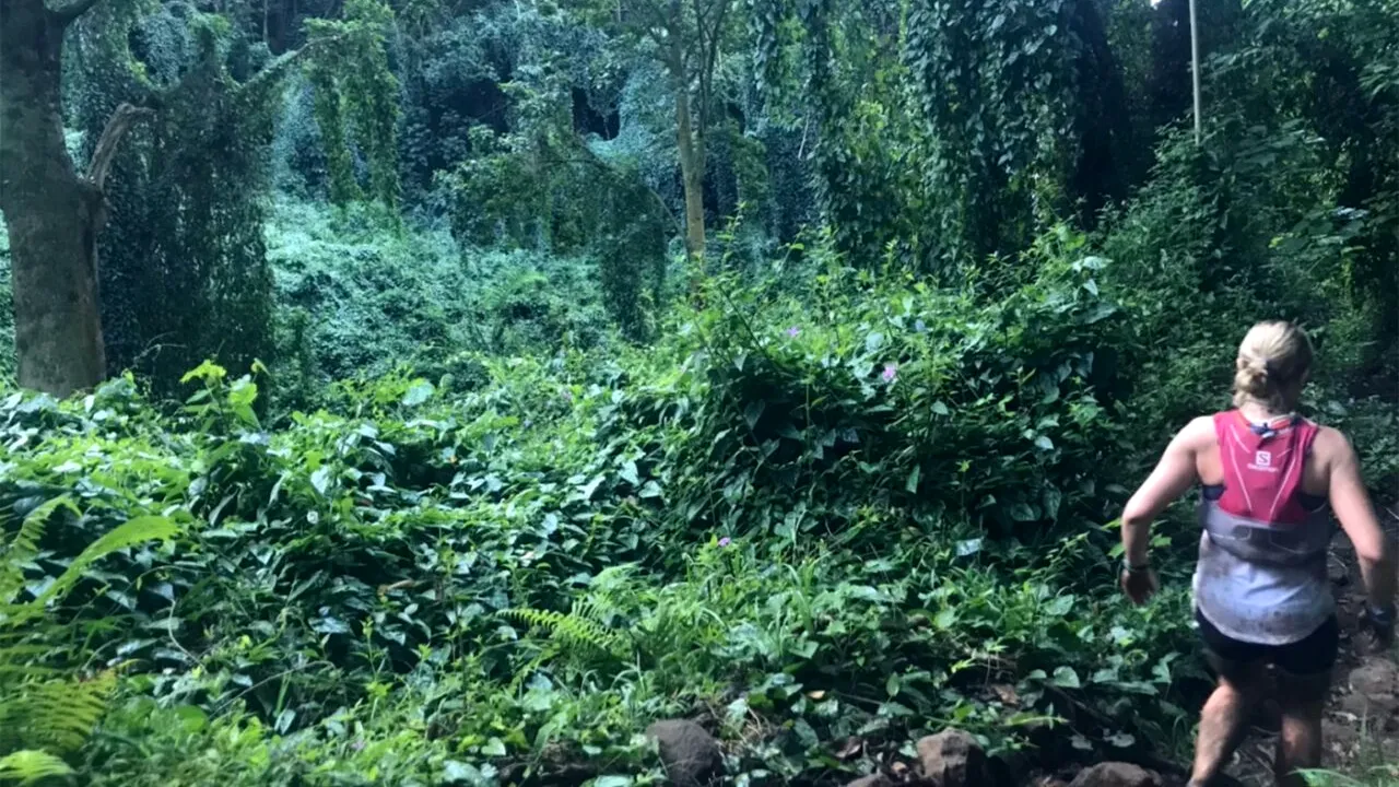 Detaliul bulversant din acestă FOTOGRAFIE, făcută de o tânără amicei ei, în timpul unei drumeții prin pădure