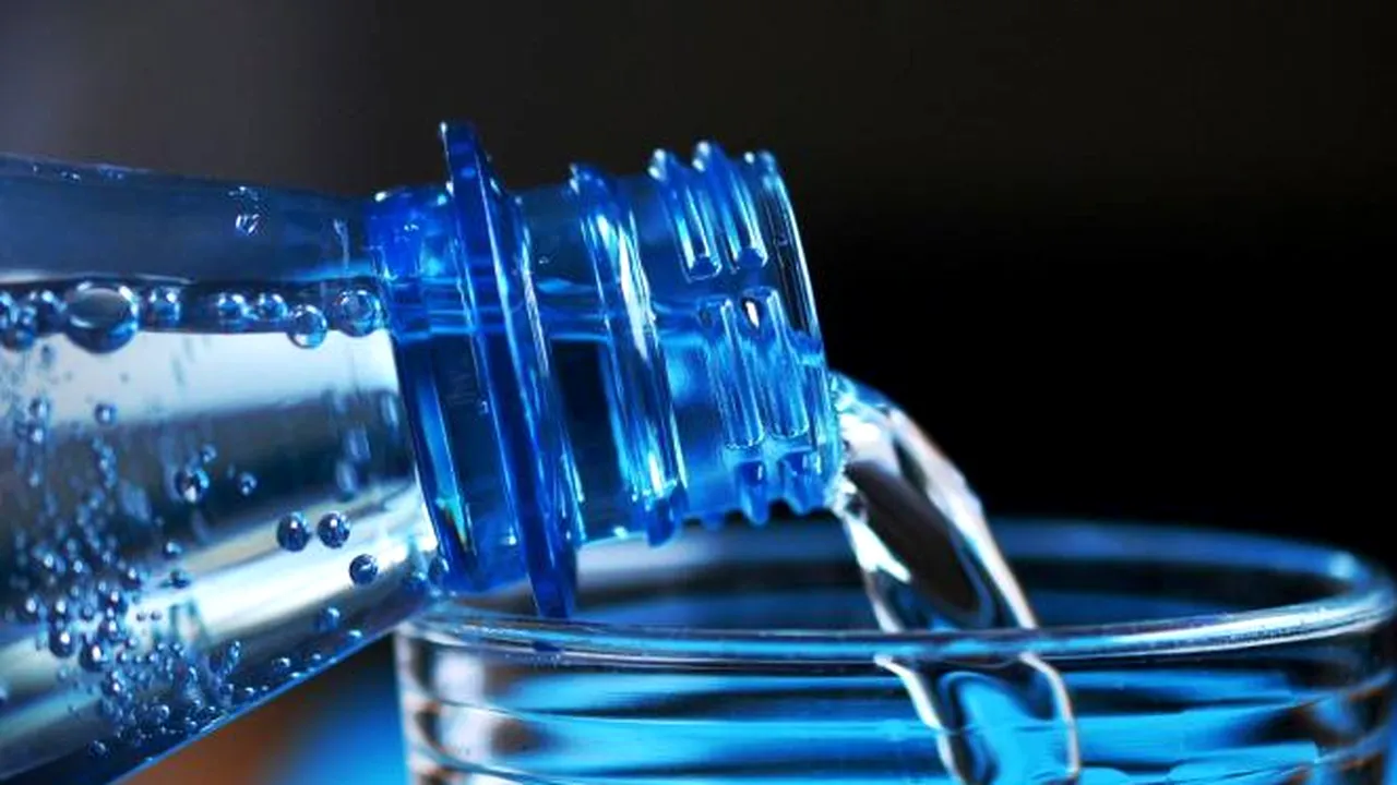 A fost finalizată achiziția companiilor Carpatina SA și Lipomin SA / Florin Rădulescu: „Potențialul pieței de apă minerală din România este în continuă creștere