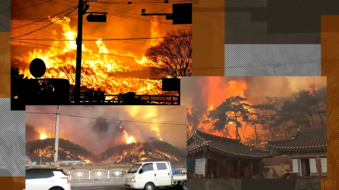 Bilanț tragic în Coreea de Sud. 30 de oameni au murit în INCENDIUL devastator. Focul ar fi pornit de la un bărbat care curăța mormântul bunicilor