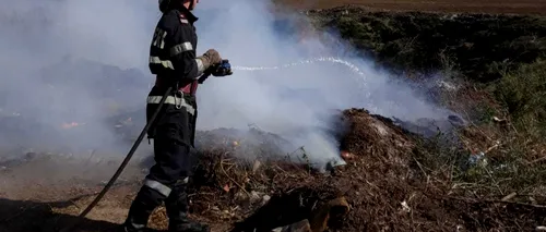 Incendiu la o groapă de gunoi din Tulcea: „Există riscul să se extindă la locuințele din apropiere