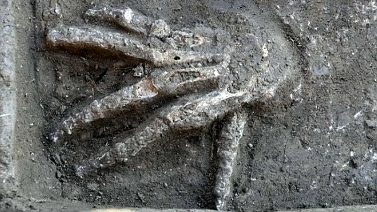 Descoperire macabră într-un oraș antic din Egipt. O mărturie a practicilor barbare de acum câteva mii de ani