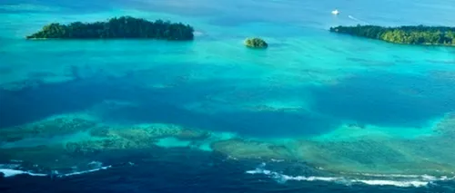 Oceanele rămân fără oxigen pe măsură ce temperaturile cresc din cauza modificărilor climatice