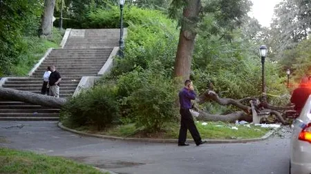 Tragedie în SUA. Ce a pățit o gravidă când s-a așezat pe o bancă în parc