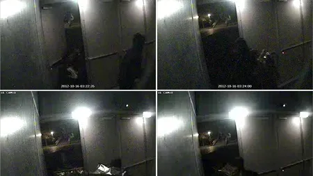 Muzeul din Rotterdam din care românii au furat picturi de milioane de euro, spart cu o banală șurubelniță