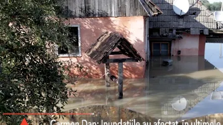 Carmen Dan inundații Facebook localități jandarmi viituri ploi