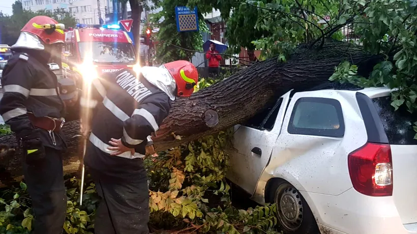 Șase copaci căzuți din cauza furtunii în Capitală, trei mașini avariate. Doi pietoni au fost răniți