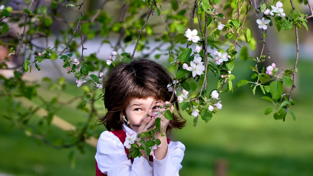Cum va fi vremea de Florii. Vremea continuă să fie schimbătoare în cele mai multe zone ale țării. Anunțul de ultimă oră al ANM