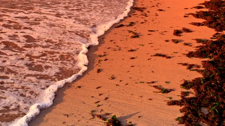 Fenomenul de la Marea Neagră care i-a uimit pe localnici și turiști, la finalul lui septembrie 2024. Ce a apărut pe Faleza Nord din Constanța