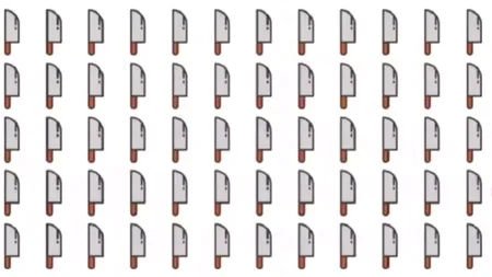 TEST de inteligență | Găsește cuțitul fără pereche! Doar geniile găsesc rezolvarea, în 10 secunde