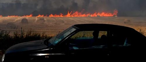 Circulație îngreunată pe Autostrada București-Pitești din cauza unui incendiu de vegetație