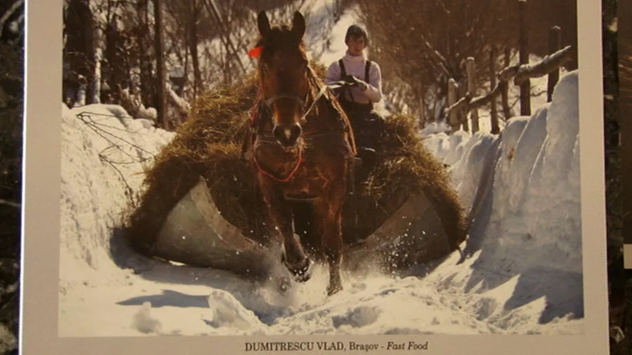 ZECI de fotografii cu SATELE românești, OAMENII și ÎNDELETNICIRILE LOR