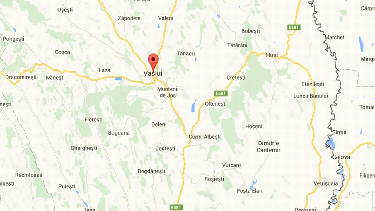Avion prăbușit într-o pădure din Vaslui