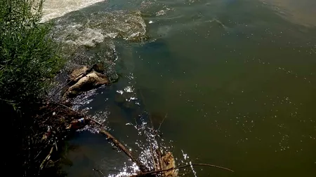 FOTO-VIDEO | Scafandrii caută un tânăr dispărut în râul Argeș, în zona Autostrăzii București-Pitești