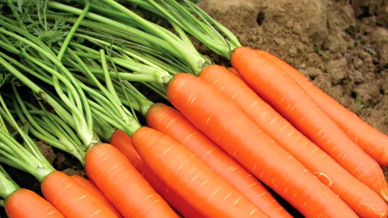 7 beneficii ale morcovilor