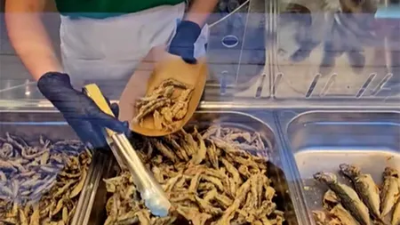 Cât a ajuns să coste o porție de hamsii la 