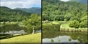 Locul MAGIC de lângă Brașov de care doar localnicii știau până acum. Lac de 3 hectare, pădure deasă, spațiu de promenadă și grătar