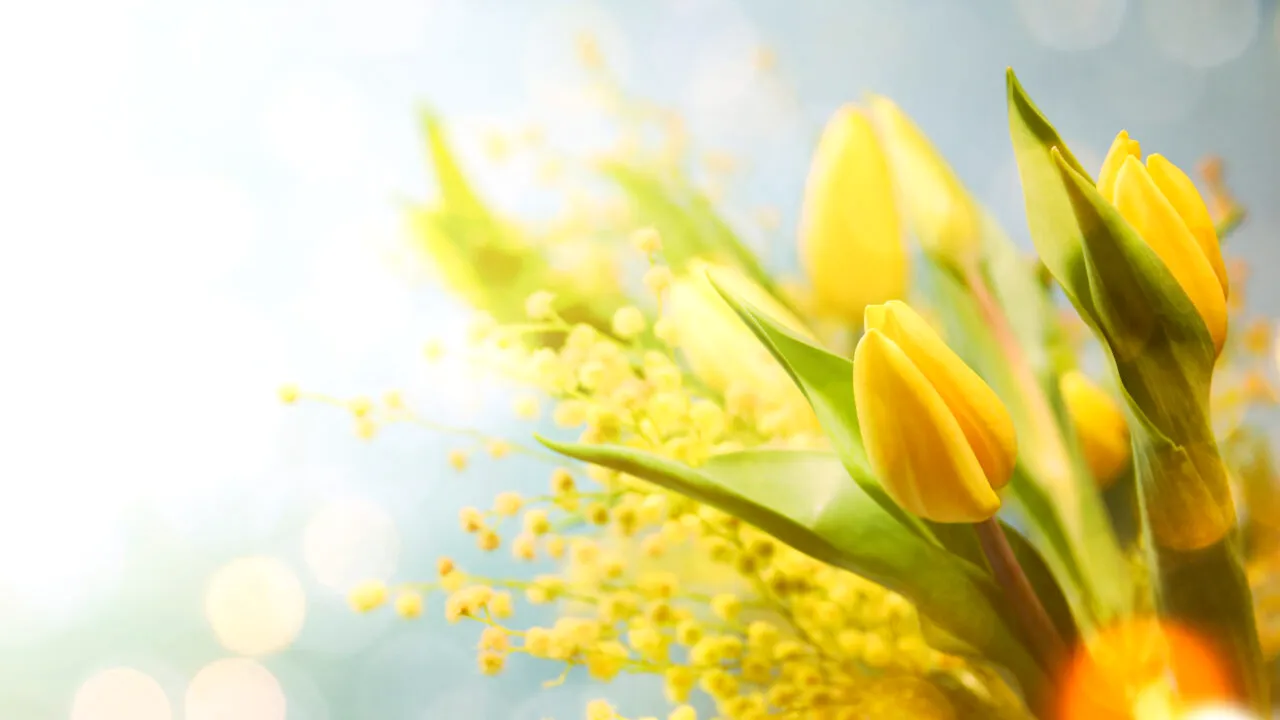 Temperaturi de vară în luna aprilie! Prognoza meteo pentru următoarele 4 săptămâni