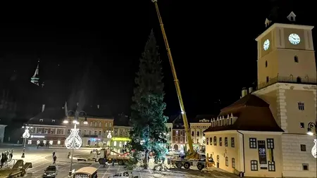 Orașul din România care a plătit 71.000 de lei pentru bradul de Crăciun. Primăria mai dă încă 36.000 de lei pentru încă 6 brazi