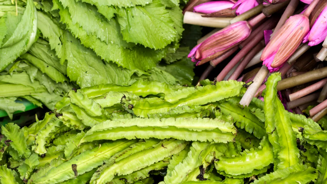 LEGUMA, considerată trufanda, a apărut deja în piețele din România, deși suntem în mijlocul iernii