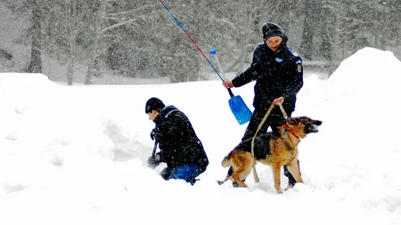 Opt persoane accidentate la schi au fost ajutate de jandarmii montani