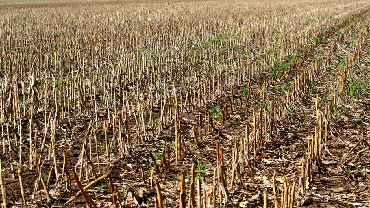 Agricultorii cu pagube în 2013 din cauza calamităților naturale ar putea fi scutiți de impozit
