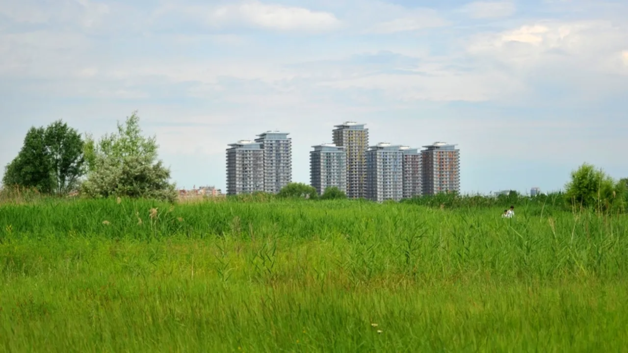 Amenzi de până la 5.000 de lei pentru bucureștenii care nu își plantează iarbă pe terenuri