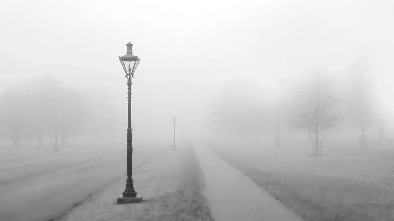 Avertizare meteo: Cod galben de ceaţă în 23 de judeţe