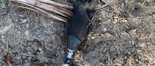 Un bărbat și-a pierdut piciorul protetic în timp ce făcea o săritură cu parașuta. Cum a reușit să-l găsească - FOTO