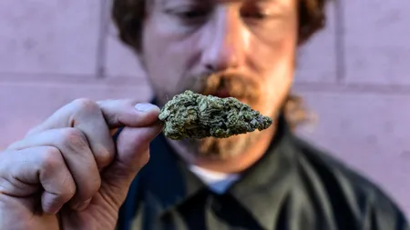 Liber la canabis în Germania. S-ar putea cumpăra şi consuma în scop recreativ