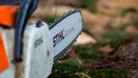 Scene de groază la Iași: Un bărbat și-a tăiat mama cu drujba. „A intrat şi a văzut-o pe bunica sa pe pat, sângerând”