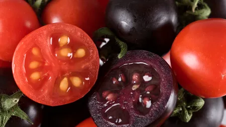 Americanii, pregătiți să consume roșii mov, modificate genetic