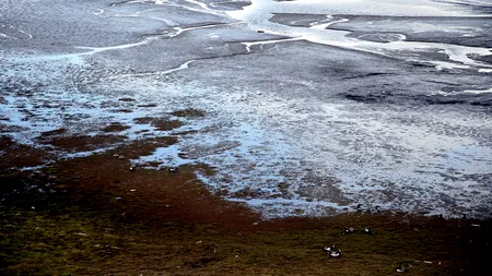 Bolile ascunse în gheață se trezesc. Cercetătorii se tem de un dezastru: S-ar putea deschide o cutie de boli a Pandorei