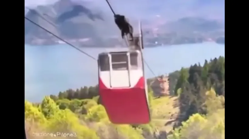 Imagini cu momentul în care telecabina din Italia în care erau 15 turiști se prăbușește (VIDEO)