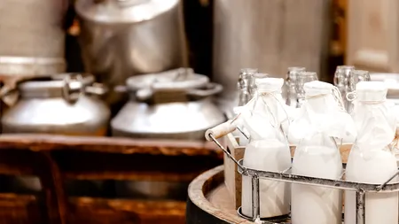 FERMIERII români vor oprirea importurilor de lapte din Ungaria, din cauza unui focar de febră aftoasă: 