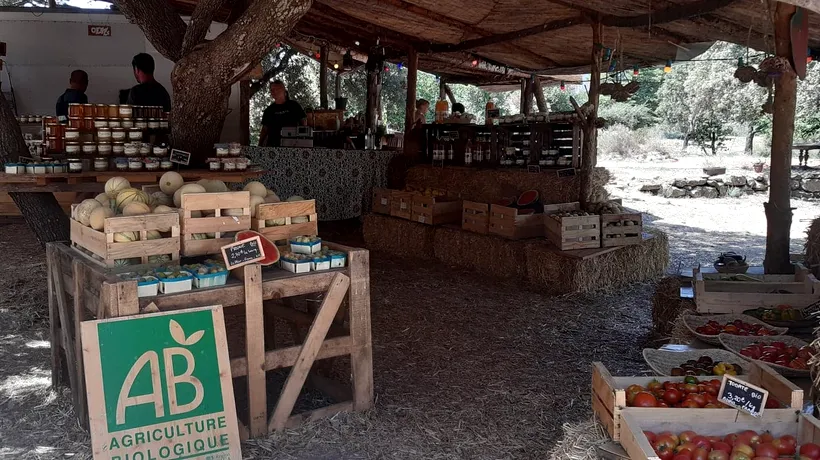 Probleme în „paradisul bio” al Europei: Micii fermieri francezi pierd teren pe o piață „înghițită” de corporații/ Ce se întâmplă cu „coșul bio” în România (EXCLUSIV)