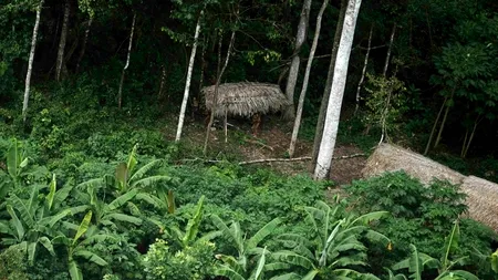 Reacția unui trib din Brazilia când băștinașii văd pentru prima dată un avion