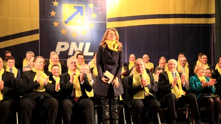 PNL a aprobat primul protocol de colaborare pentru alegerile parlamentare. Daniel Fenechiu, posibil candidat pe listele PNL
