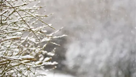 Prognoza meteo. Vremea se schimbă RADICAL. Un val de ninsori și ger va lovi România, iar temperaturile scad până la -15 grade Celsius