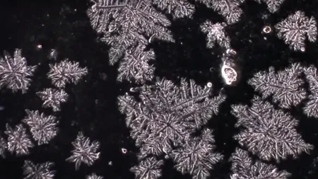 Cum arată lacrimile la microscop. Rezultatele surprinzătoare ale unui experiment inedit 