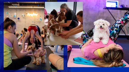 Ultima modă în materie de relaxare. Puppy yoga, TERAPIA care combină dragostea pentru animale cu yoga