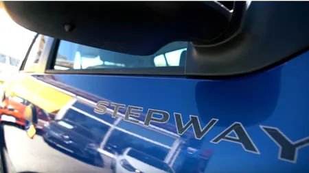 Scandal la Direcția pentru Protecția Copilului Bacău! Mașini de 650.000 de lei, în timp ce salariile nu au fost plătite