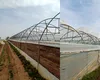 Dezastru în cel mai mare bazin legumicol din Dâmbovița. Hectare întregi de solarii, afectate de vântul puternic