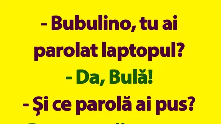 BANC | Parola de la laptopul lui Bulă