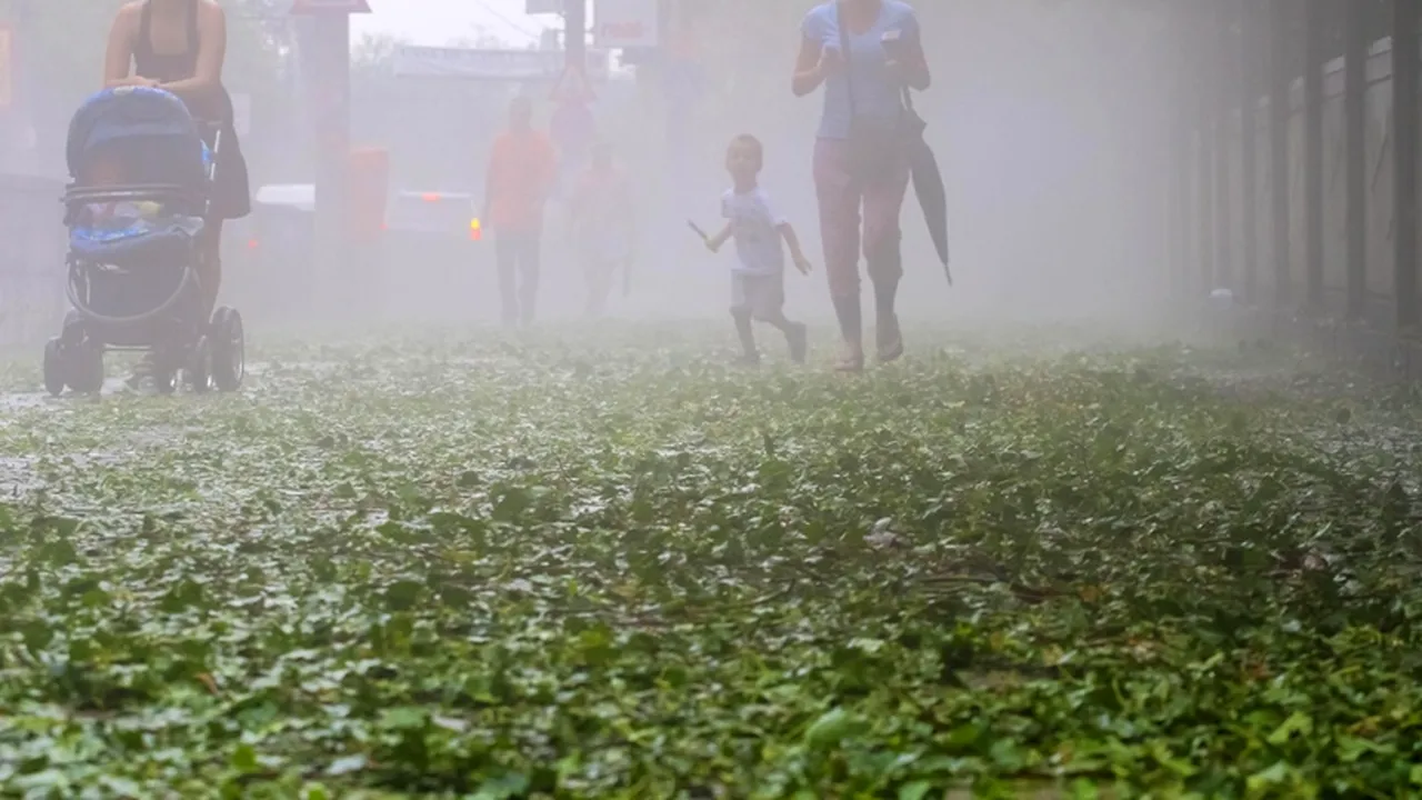 VREMEA. Avertizare METEO de ploi torențiale, vijelii și grindină în toată țara
