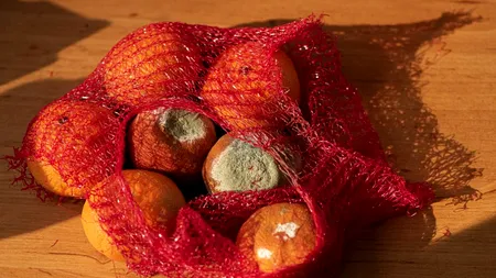 EFORTURI. Câți consumatori încearcă, în realitate, să reducă risipa alimentară. Cât de importantă a devenit băcănia