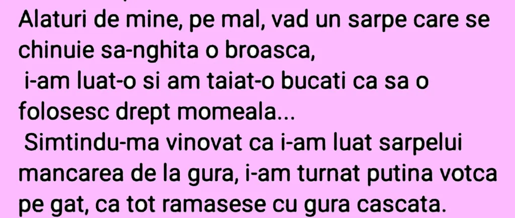 Bancul de duminică | Pescarul, șarpele și broasca