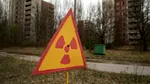 În 1986, imediat după dezastrul nuclear de la Cernobîl, oamenii de știință au plantat floarea-soarelui în solul contaminat. Ce a ieșit din pământ acum, după 40 de ani