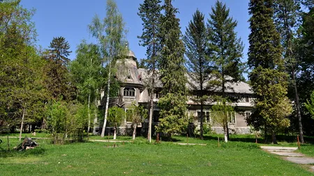 Cât trebuie să plătească CJ Hunedoara ca să cumpere Castelul Pogany