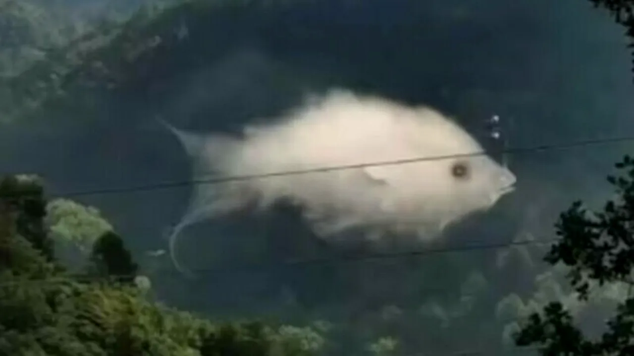 TEST IQ | Iluzie optică pentru genii. Ce vezi, de fapt, în imagine